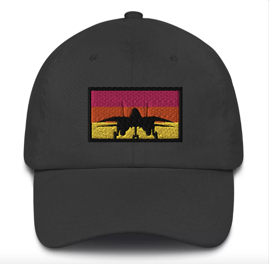 The Need for Speed | F-14 Tomcat Embroidered Dad Hat
