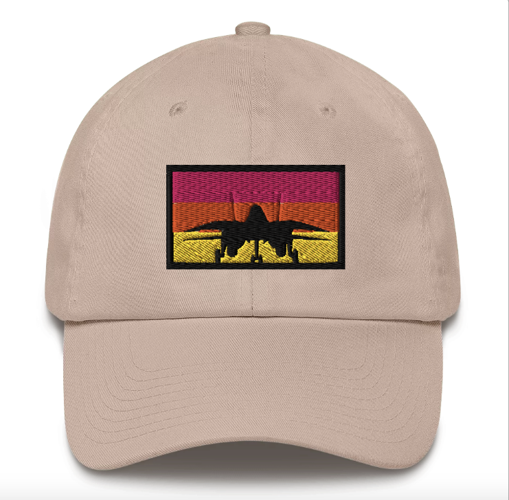 The Need for Speed | F-14 Tomcat Embroidered Dad Hat
