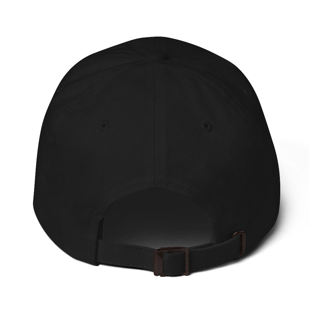 The 737 | Boeing 737 Embroidered Dad Hat