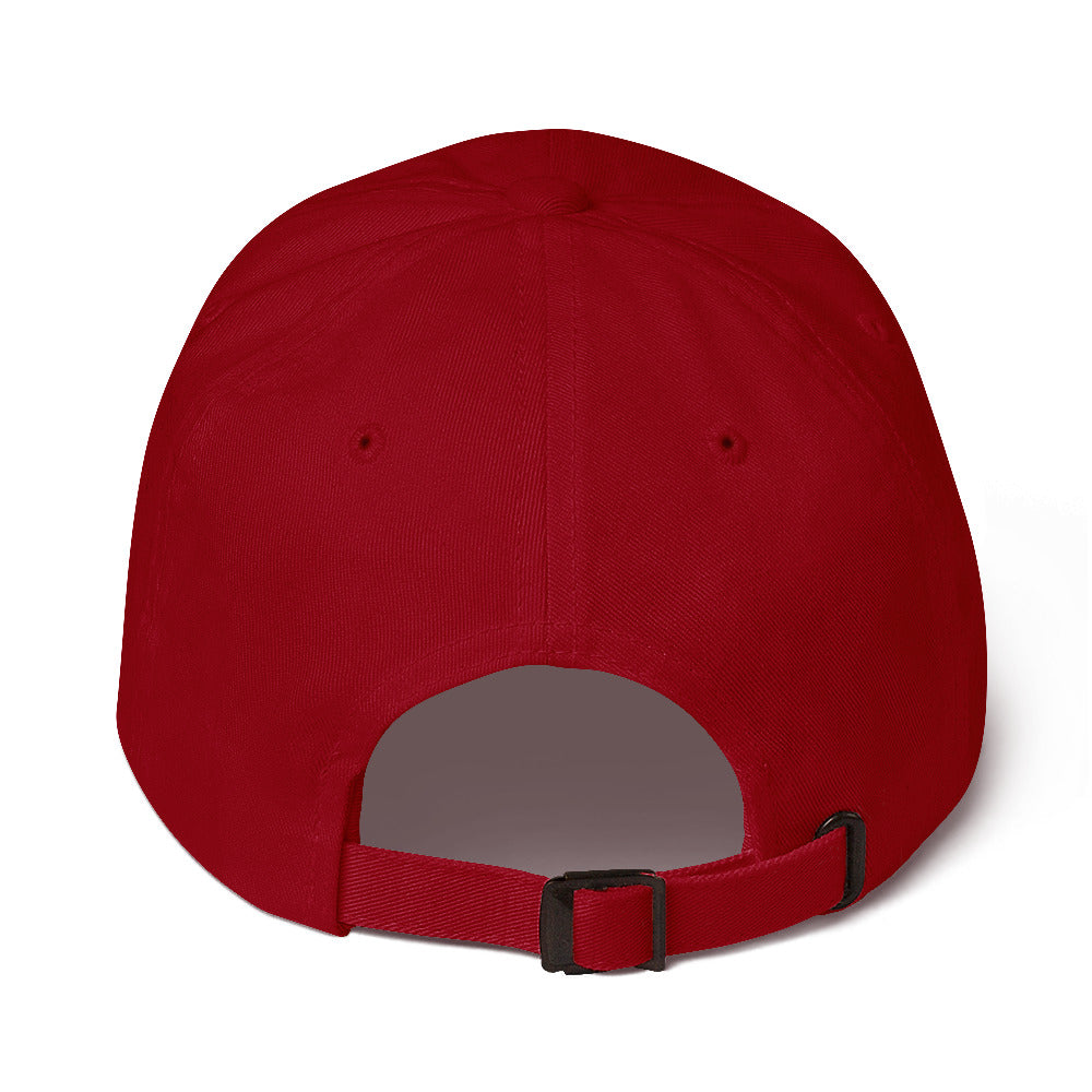 The 737 | Boeing 737 Embroidered Dad Hat
