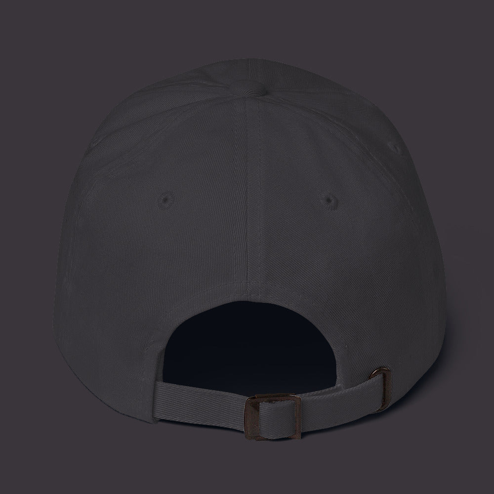 The 737 | Boeing 737 Embroidered Dad Hat