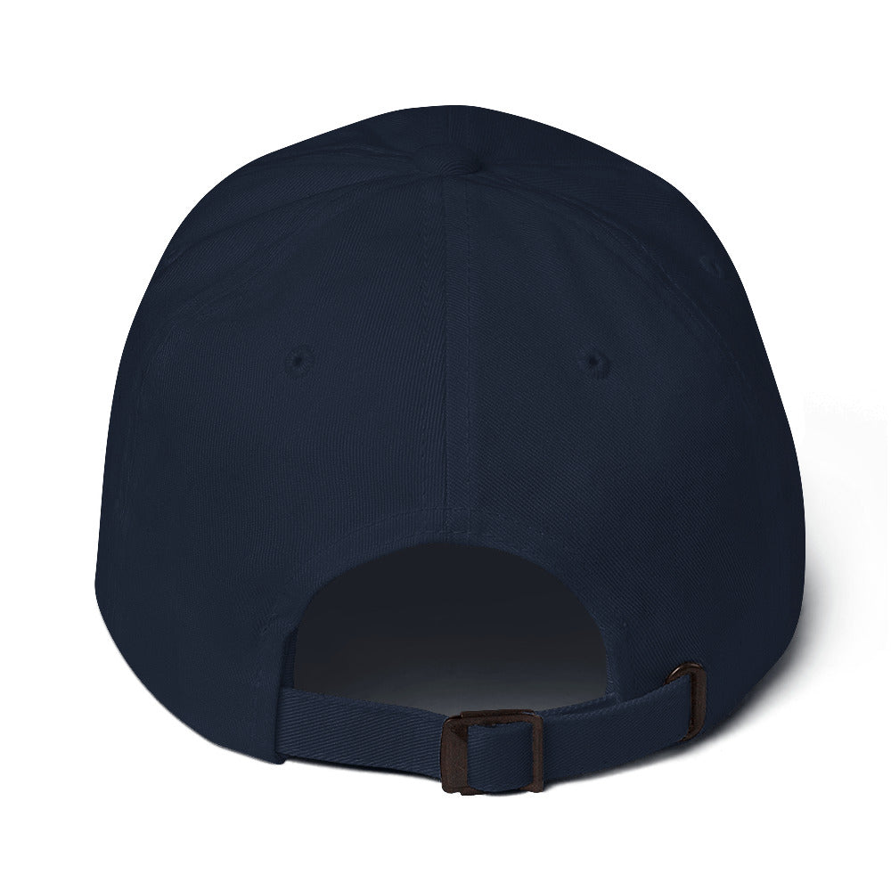 The 737 | Boeing 737 Embroidered Dad Hat