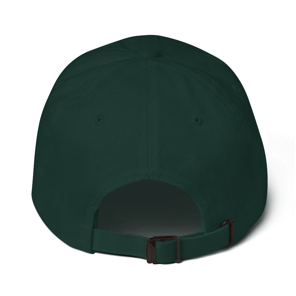 The 737 | Boeing 737 Embroidered Dad Hat