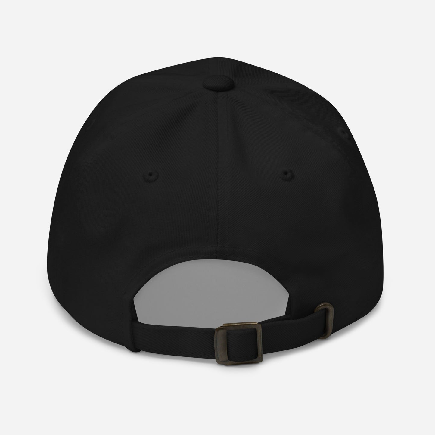 The Meatball | Optical Landing System (OLS) Carrier Landing Embroidered Dad Hat