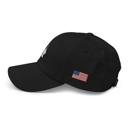 The Spider | YF-23 Prototype Embroidered Dad Hat