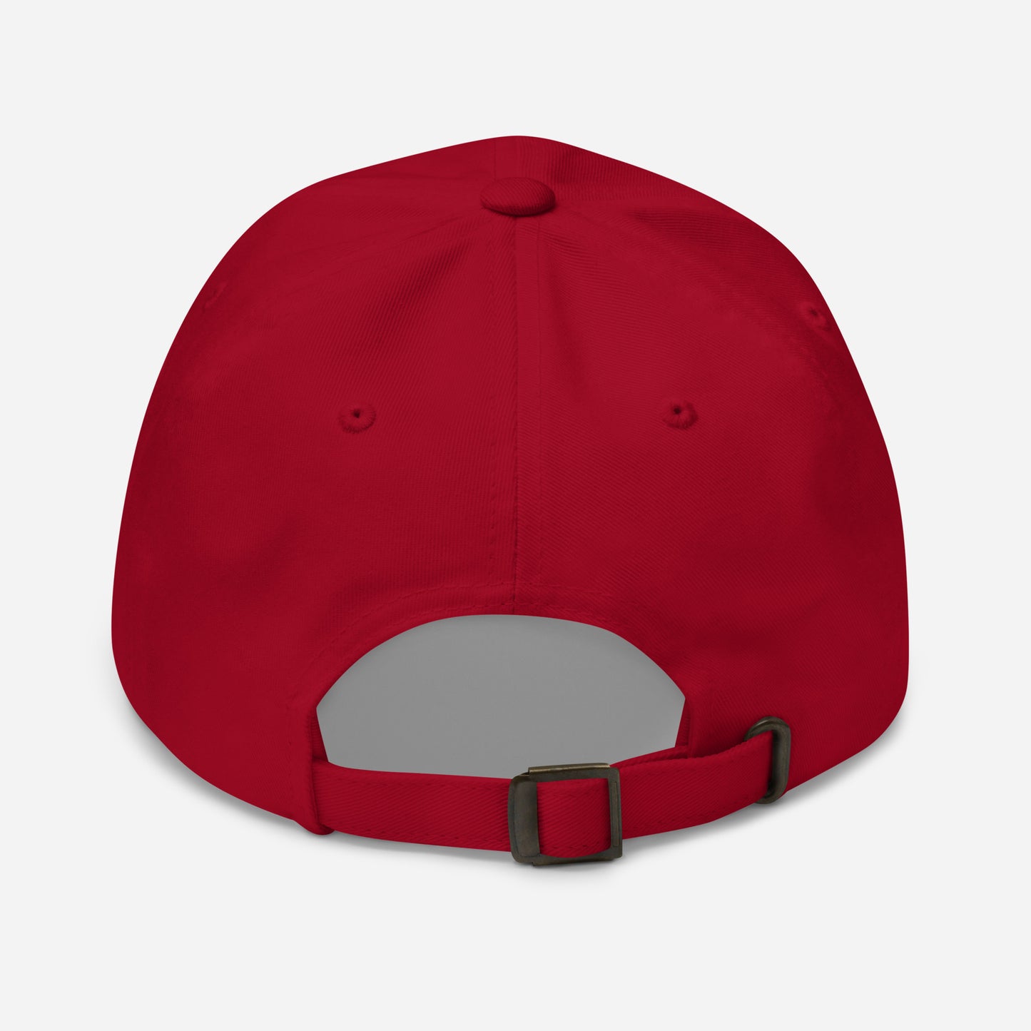 The Meatball | Optical Landing System (OLS) Carrier Landing Embroidered Dad Hat