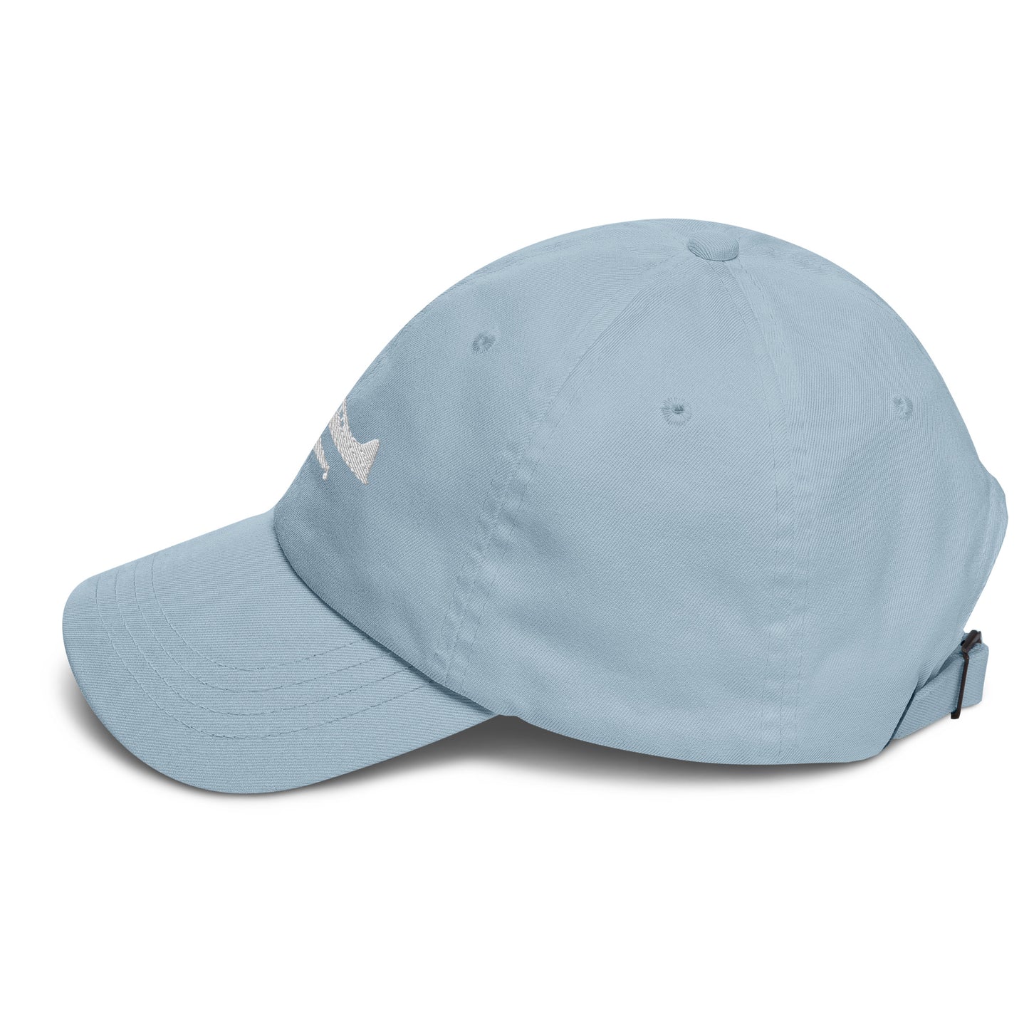 The Beaver | De Havilland DHC-2 Beaver Embroidered Dad Hat