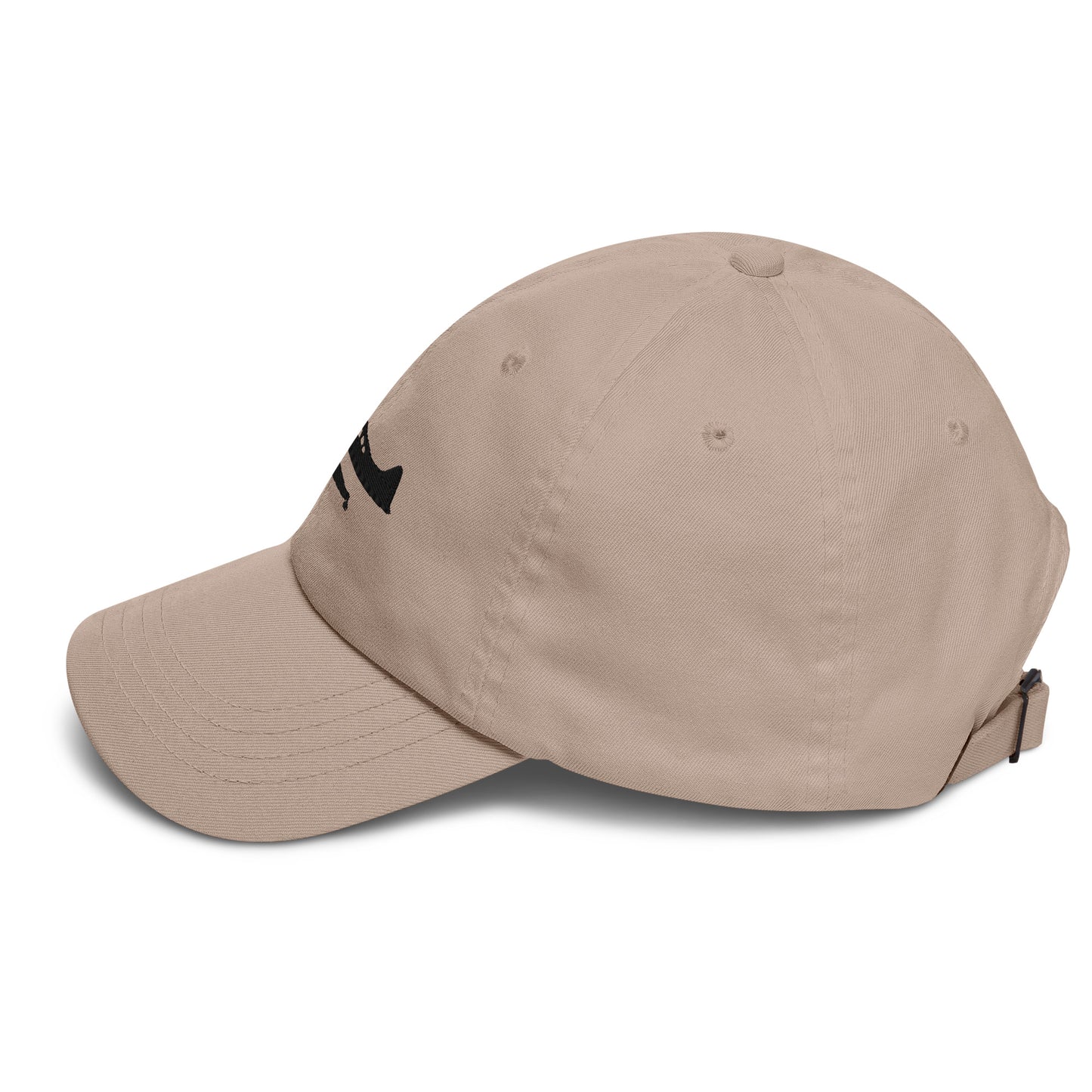 The Beaver | De Havilland DHC-2 Beaver Embroidered Dad Hat