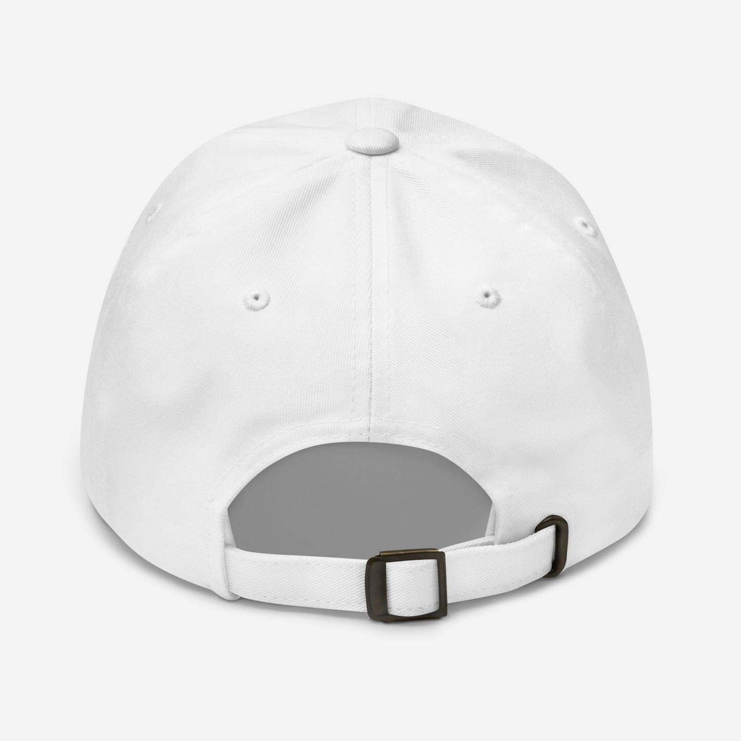 The Meatball | Optical Landing System (OLS) Carrier Landing Embroidered Dad Hat